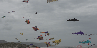 Town holds successful kite festival