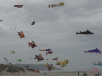 Town holds successful kite festival
