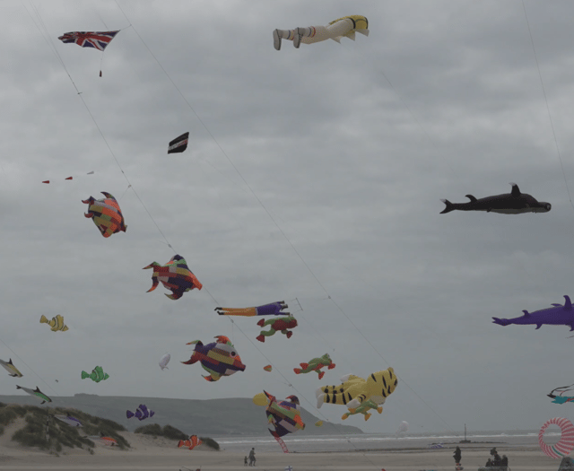 Town holds successful kite festival