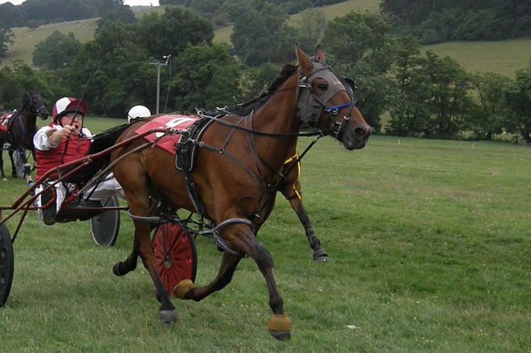 Novice final winner Ellavafella 020723.jpg