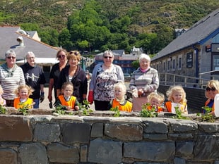 Helpers of all ages plant flowers to keep Barmouth looking beautiful