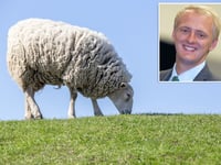 MP in bid to crack down on dog attacks on livestock