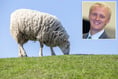 MP in bid to crack down on dog attacks on livestock