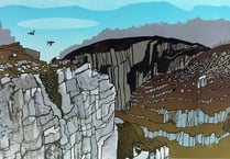 Trio of artists display their work at Cardigan's Canfas
