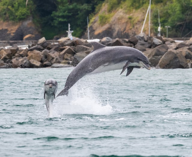 Wildlife warning for those heading to the beach