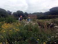 Labour Party members get insight into community gardens