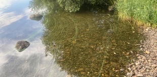 Toxic algae in Snowdonia lake prompts warning to visitors  