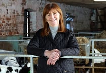 FUW and NFU voice concern over 10% tree coverage target 