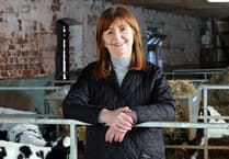 FUW and NFU voice concern over Welsh Government's 10% tree coverage target