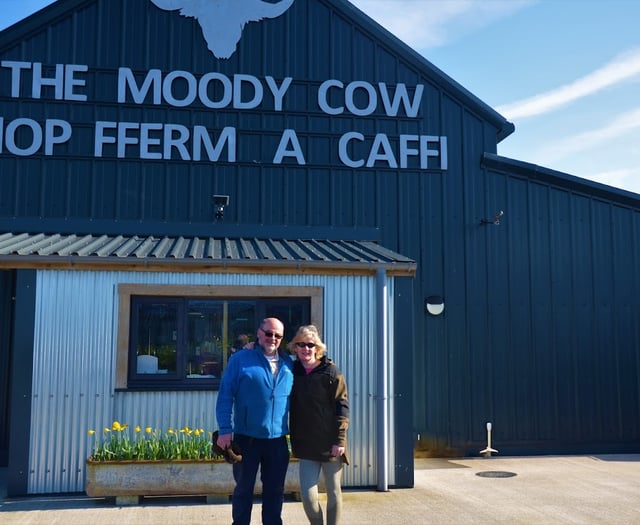 Moody Cow expansion given backing