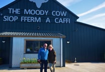 Moody Cow expansion given backing