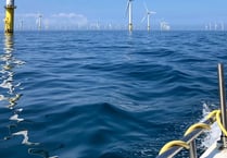 Wind farms provide good habitat for lobsters