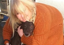 Dog show raises £3,000 for rescue dogs