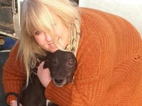 Dog show raises £3,000 for rescue dogs