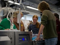 Pupils gain insight into life as a university veterinary student