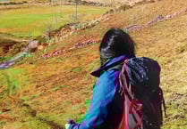 Illustrated book provides guide to walks in Aberystwyth wilderness