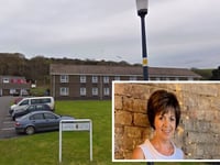 Menna needs your vote after being shortlisted for carer award