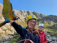Rescuers rush to the aid of woman and her parrot on Eryri mountain