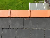 Rogue trader charged £4,600 to paint roof tiles orange 