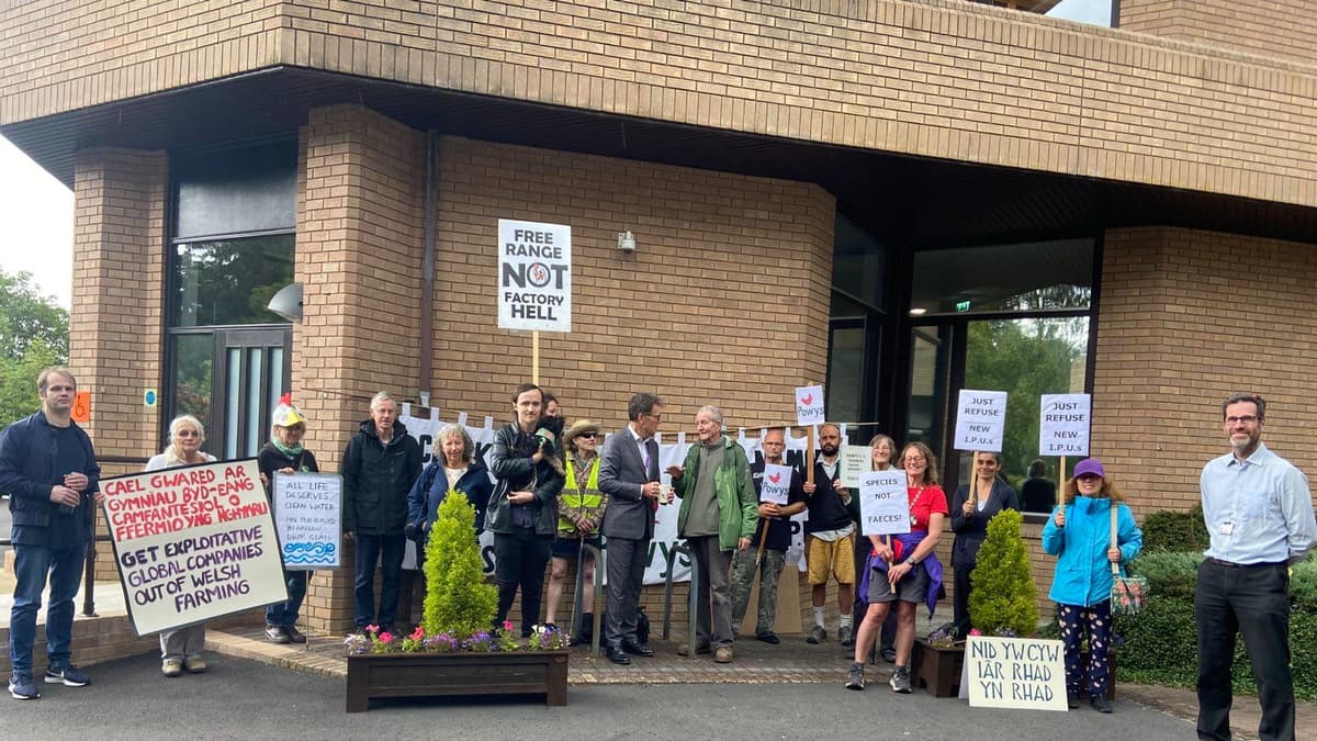 Opponents of Talybont chicken farm plans join protest outside Council House