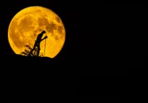 Stargazers hope for break in the cloud to catch a glimpse of supermoon