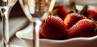 Bubbles and Berries social raises £1,830 for good causes