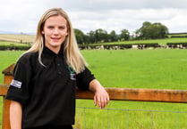Gwenan honoured to be selected for Menter a Busnes internship