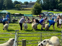 Community looking forward to this weekend's Llanilar Show
