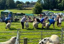 Community looking forward to this weekend's Llanilar Show