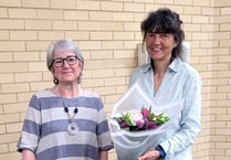 Long-serving council ethics committee member steps down
