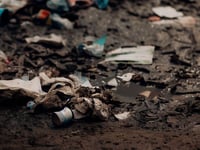 Why we need to look after our own rubbish