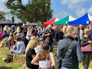 Aberdyfi Food Festival to return this month