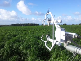 Aberystwyth scientists welcome UK Biomass Strategy