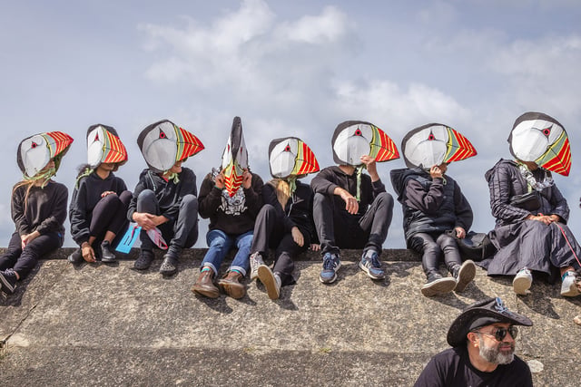 Fantastic photos from this year's Borth Carnival