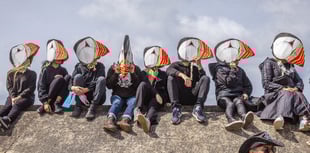 Fantastic photos from this year's Borth Carnival