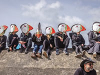 Fantastic photos from this year's Borth Carnival