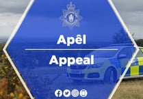 Police launch appeal after Trawsfynydd crash