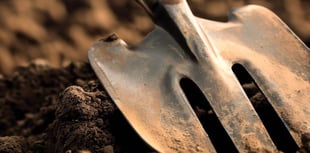 Free gardening packages available for communities