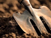 Free gardening packages available for communities