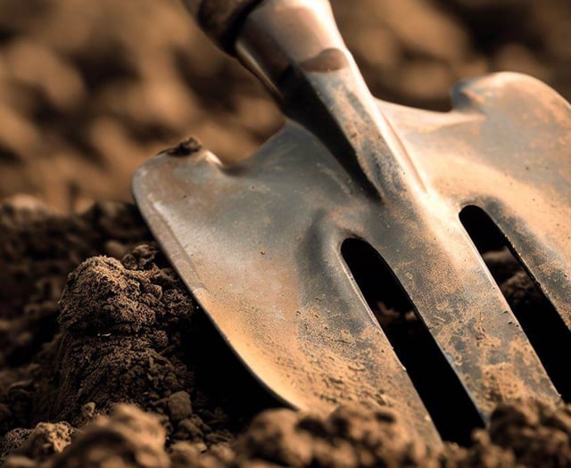 Free gardening packages available for communities