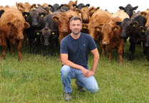 Gwynedd farm benefits from nutrient management planning