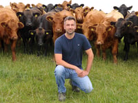 Gwynedd farm benefits from nutrient management planning
