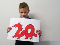 Gwynedd pupil wins national 20mph design competition