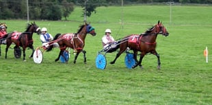 Newcastle Emlyn’s Zulu Warrior impresses at Newbridge