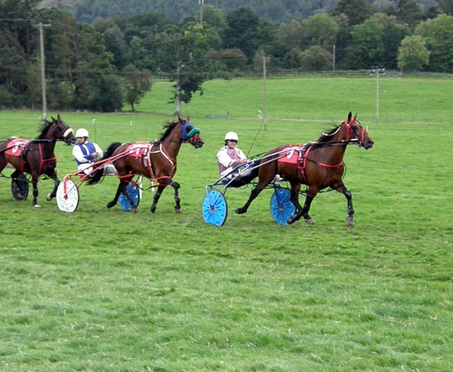 Newcastle Emlyn’s Zulu Warrior impresses at Newbridge