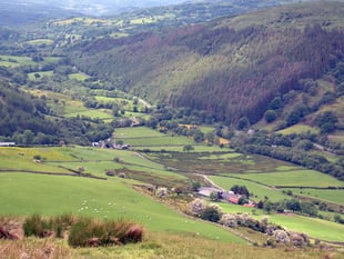 Meirionnydd FUW members looking forward to Harlech-based county show