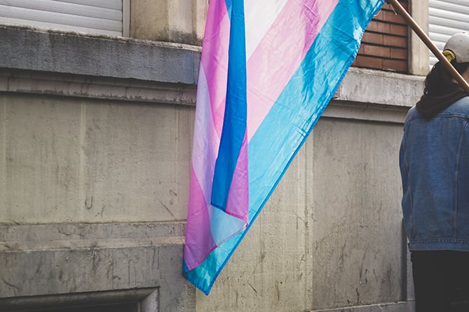 Transgender Flag stock