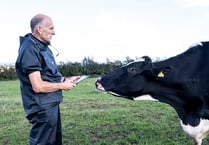 Progress in syndromic surveillance project for Welsh farms