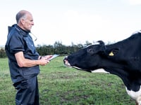 Progress in syndromic surveillance project for Welsh farms