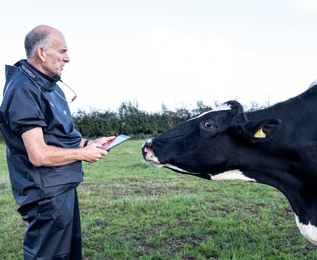 Progress in syndromic surveillance project for Welsh farms